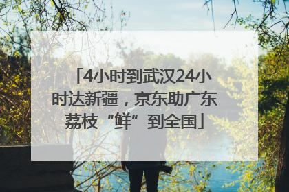 4小时到武汉24小时达新疆，京东助广东荔枝“鲜”到全国